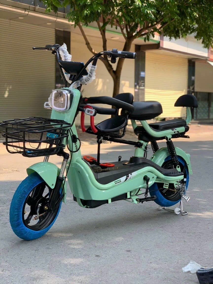 Xe đạp điện New Beer